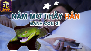 Nằm mơ thấy rắn? đánh số bao nhiêu