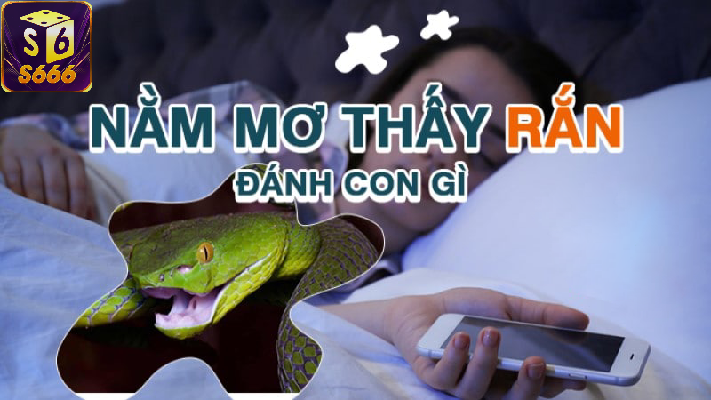 Mơ thấy rắn cắn: Cảnh giác với những nguy hiểm tiềm ẩn